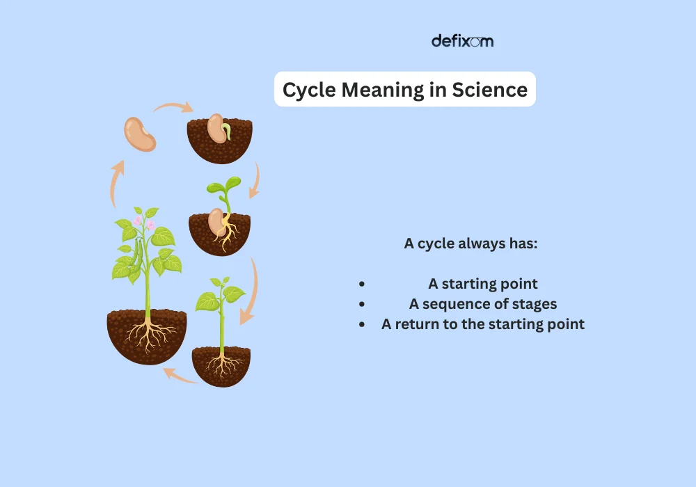 cycle meaning in science