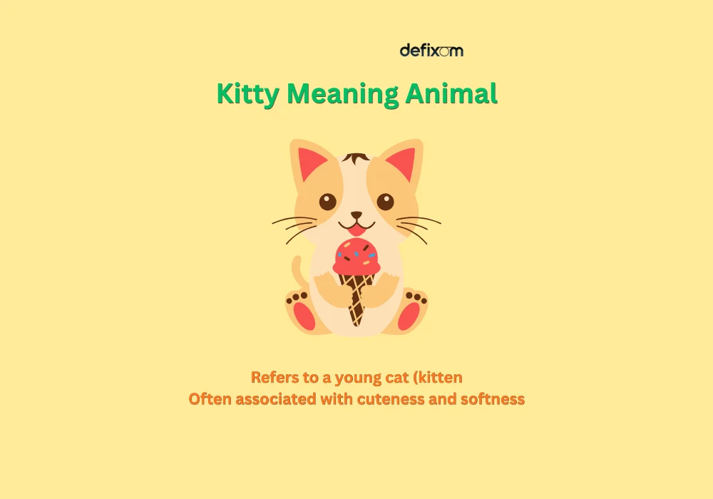 kitty meaning animal