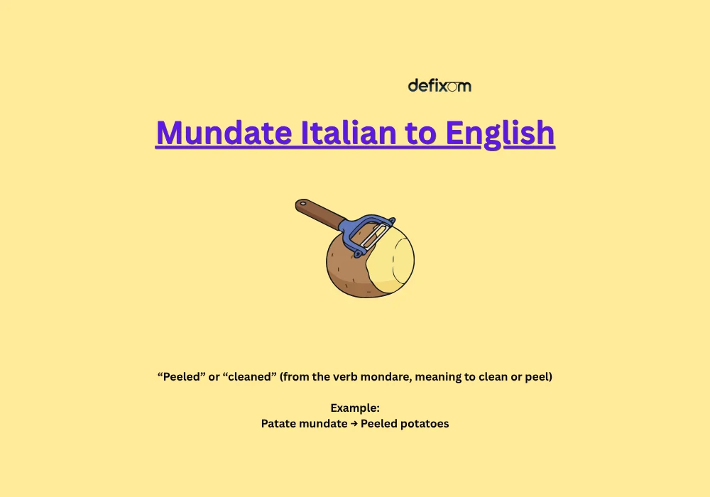 mundate italian to english
