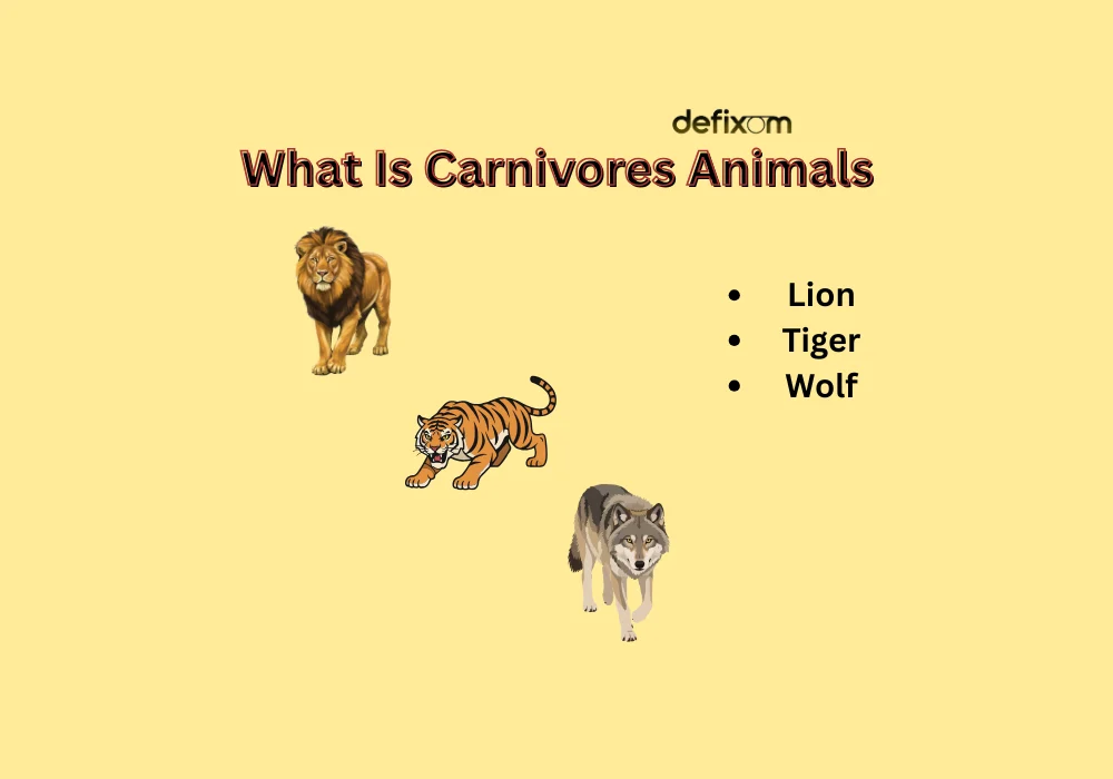 what is carnivores animals