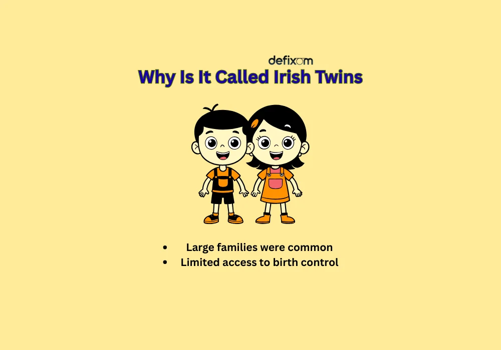 Why Is It Called Irish Twins