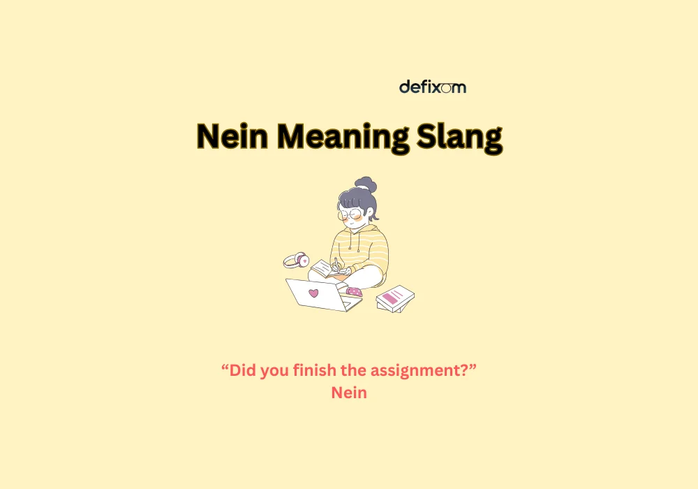 nein meaning slang