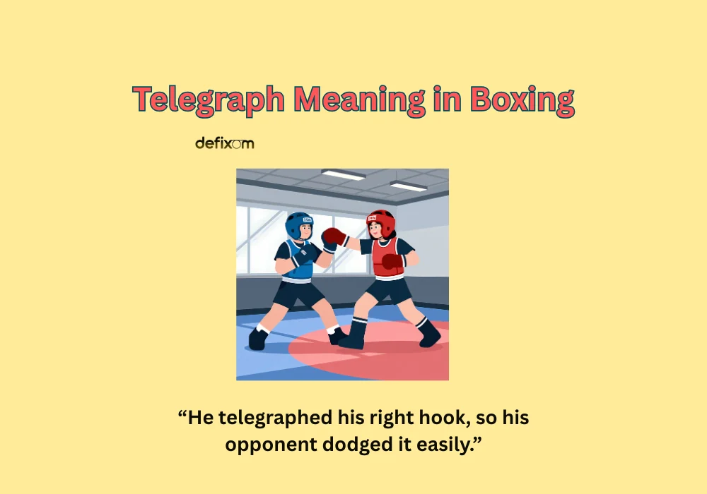 telegraph meaning in boxing