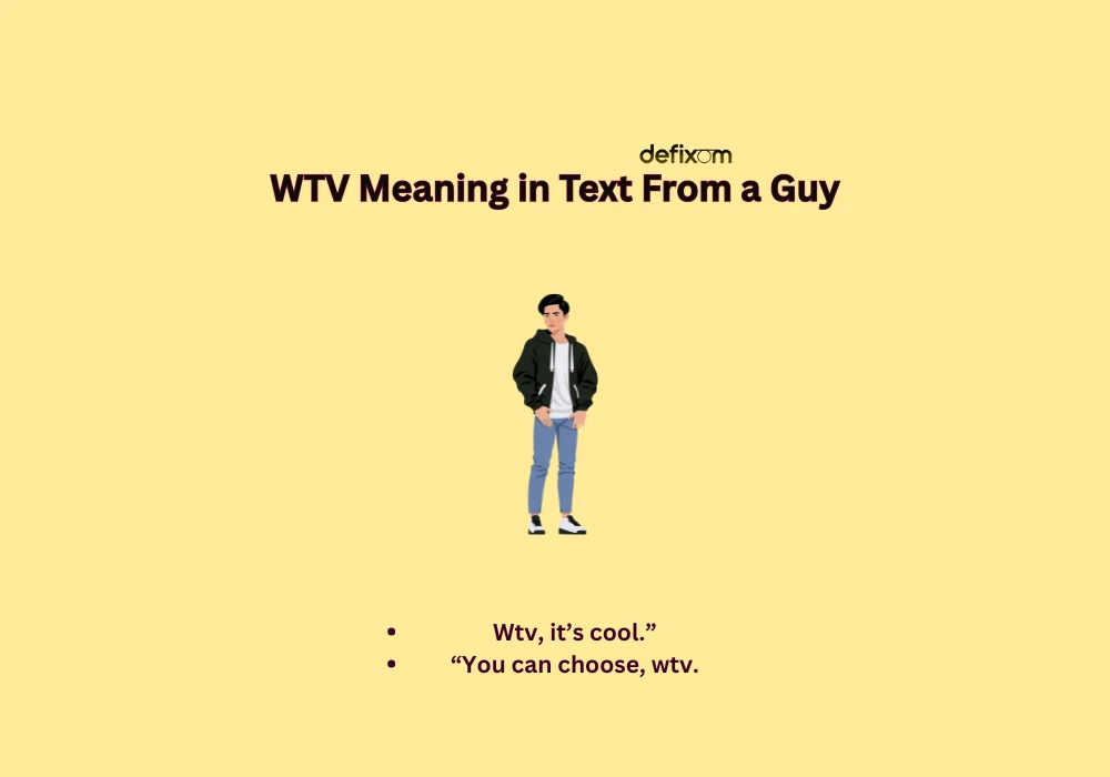 wtv meaning in text from a guy