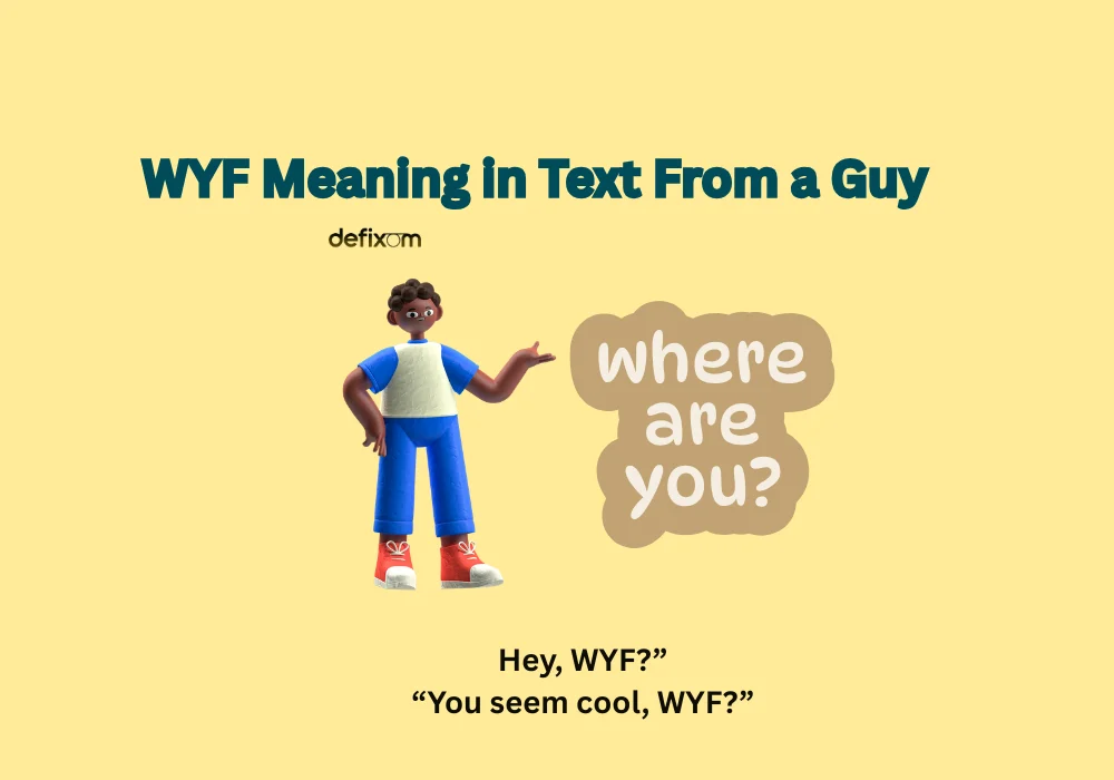wyf meaning in text from a guy