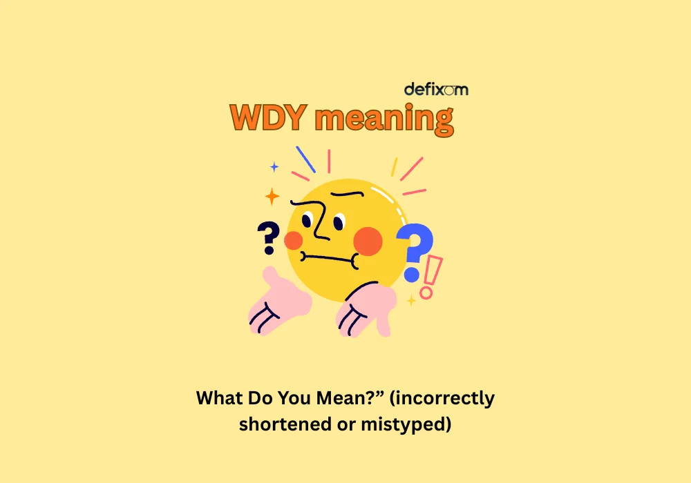 wdy meaning