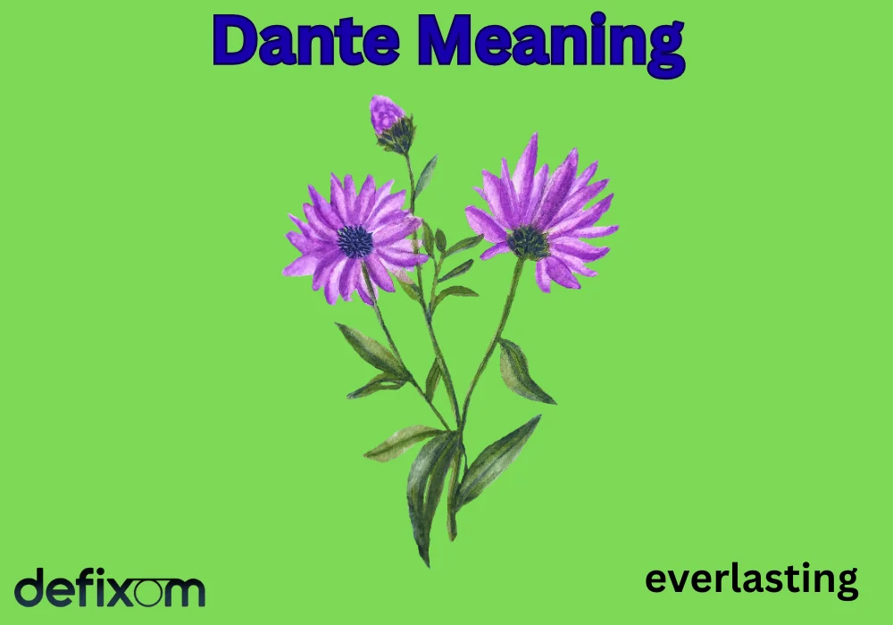 Dante Meaning