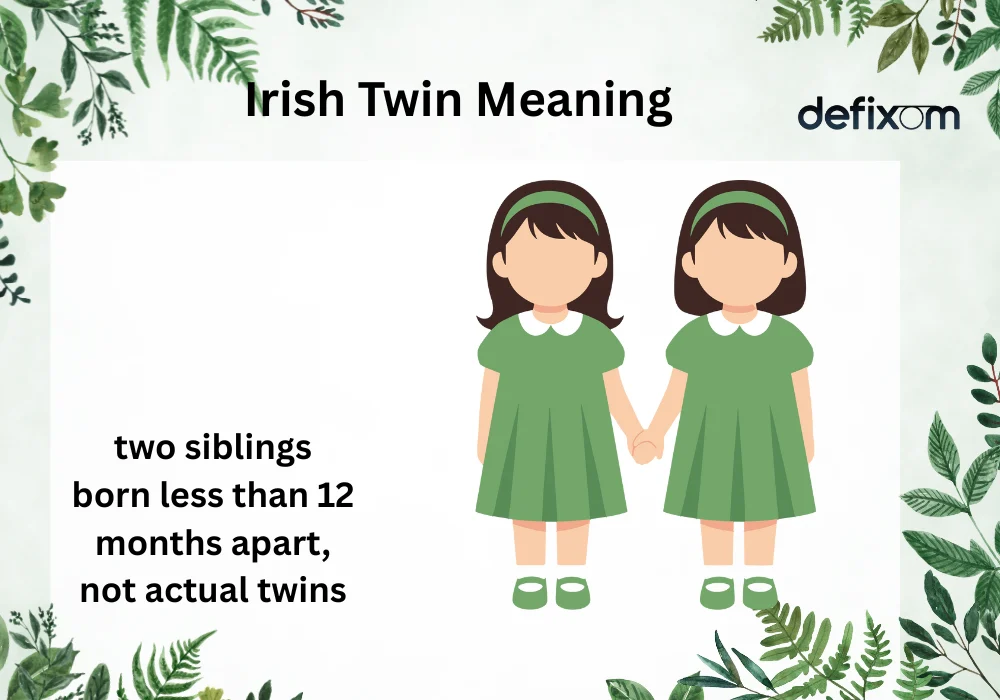 Irish Twin Meaning