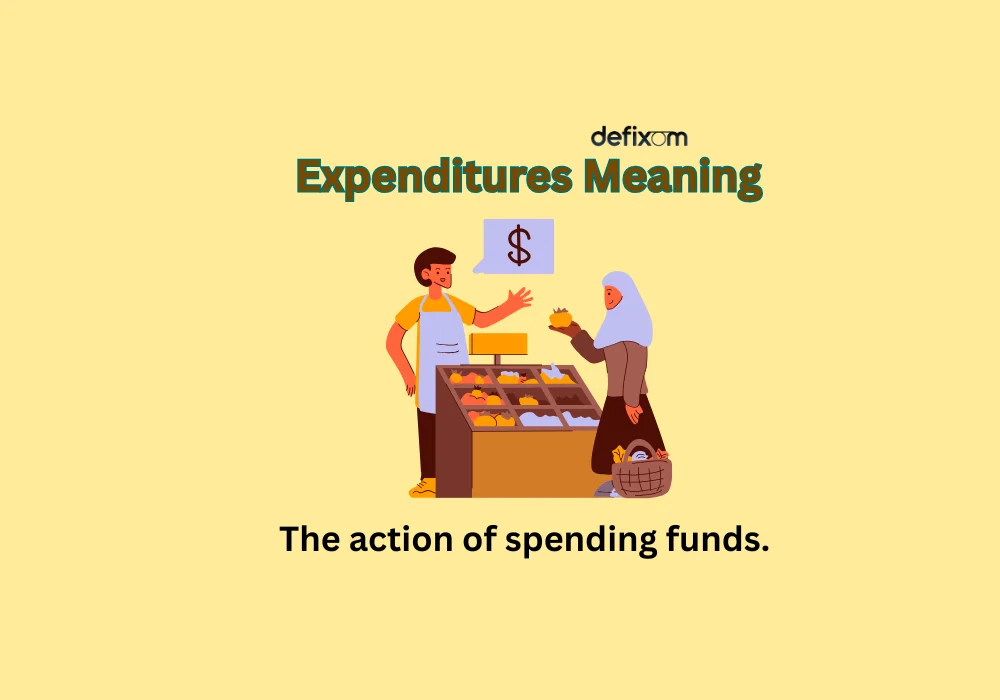 expenditures meaning