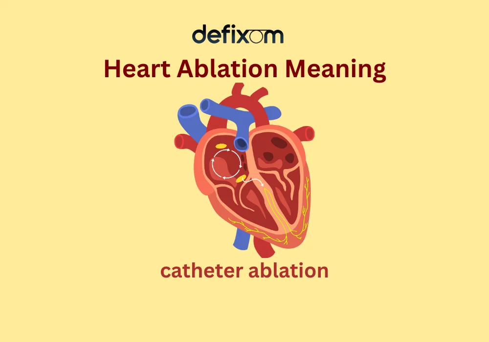 heart ablation meaning