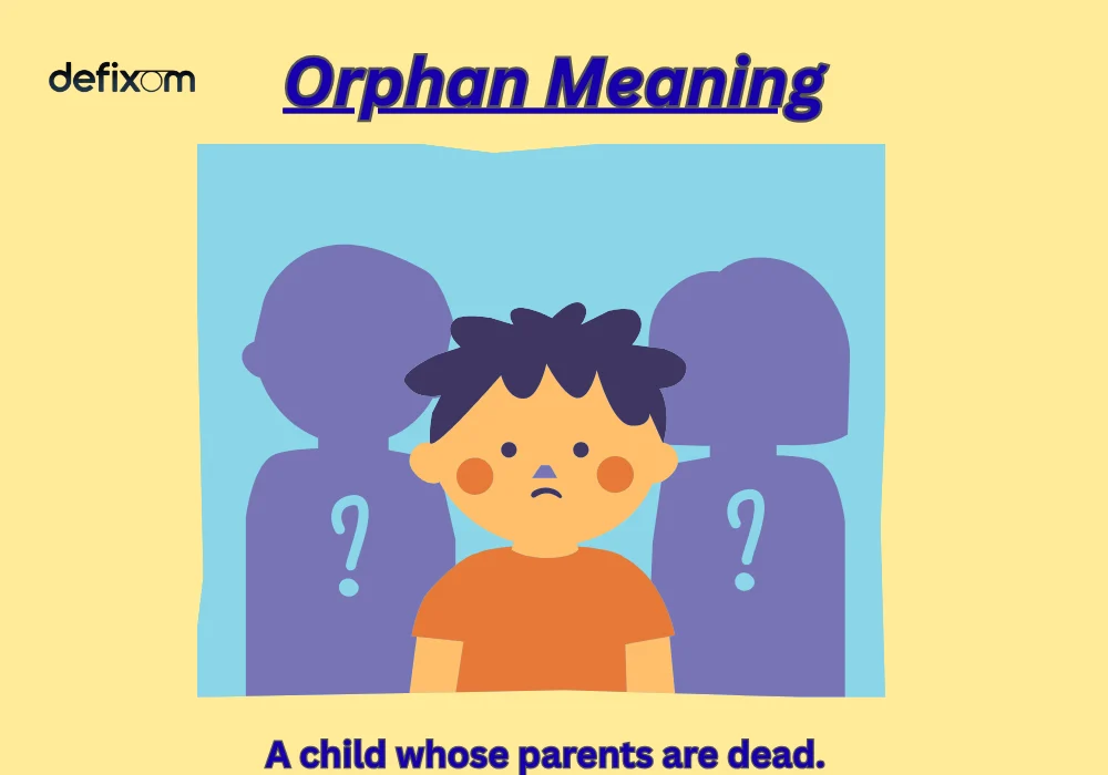 orphan meaning