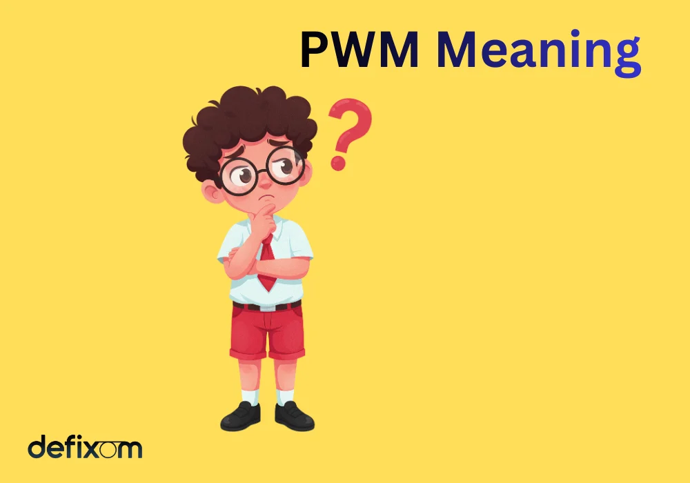 PWM Meaning