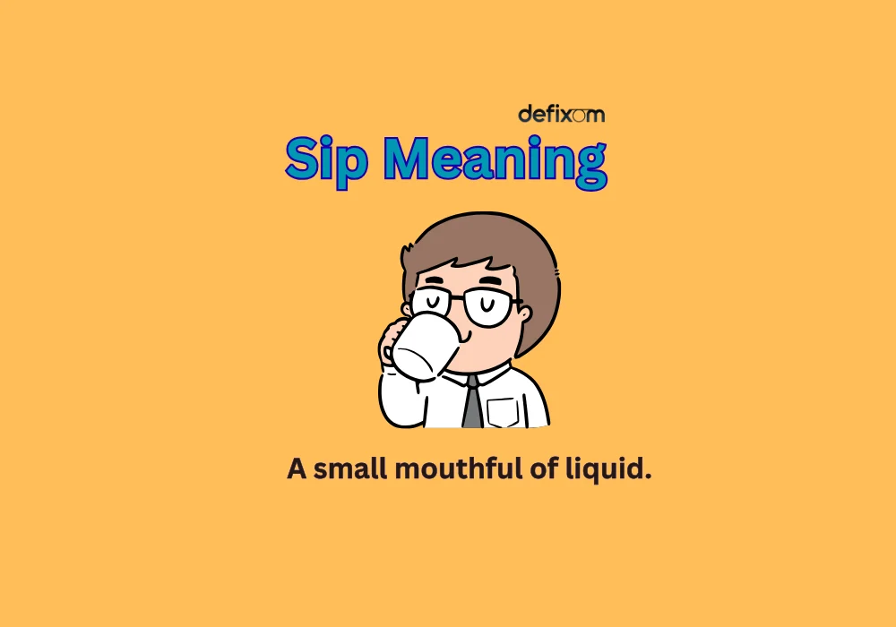 sip meaning