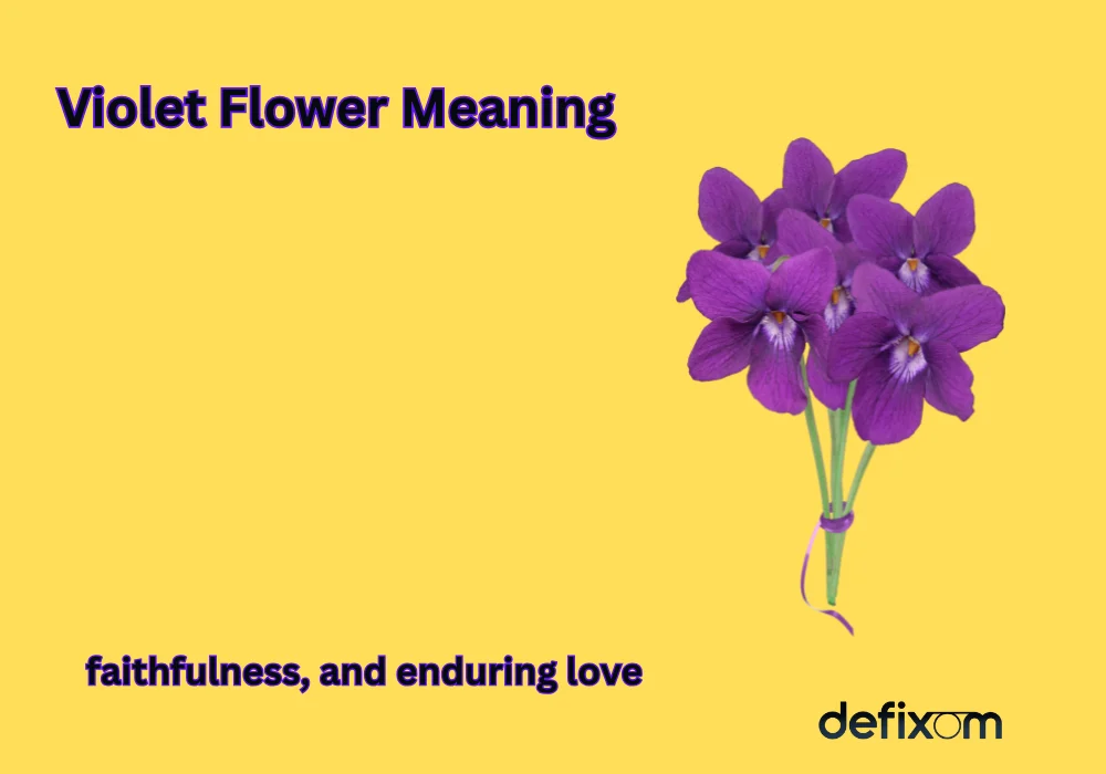 Violet Flower Meaning