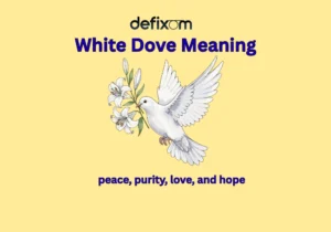 white dove meaning
