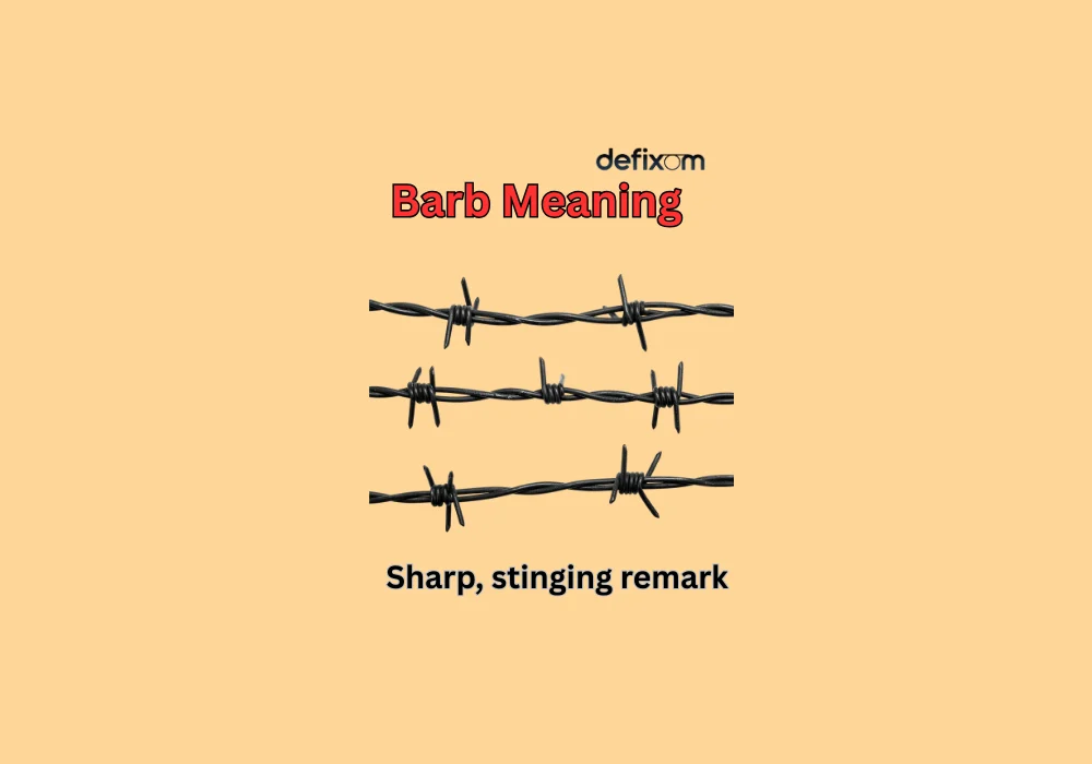 barb meaning