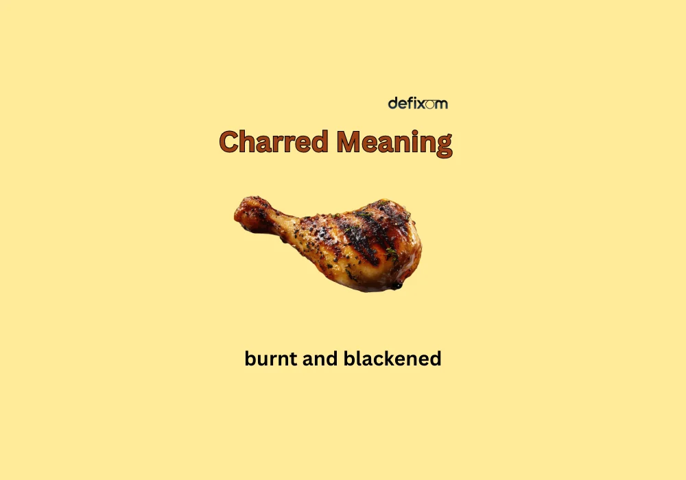charred meaning