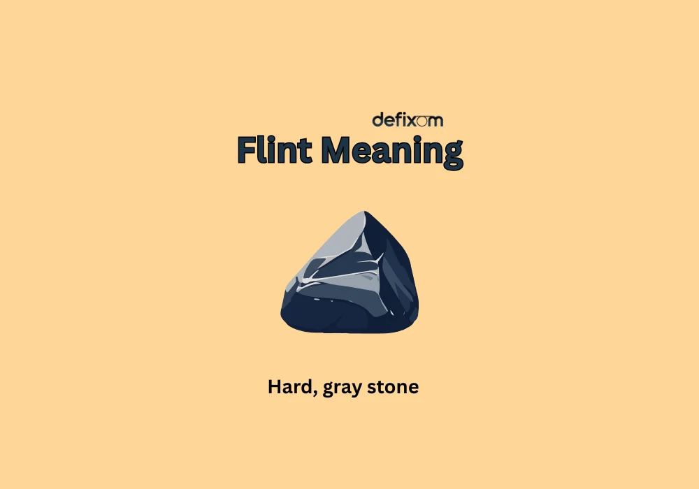 flint meaning