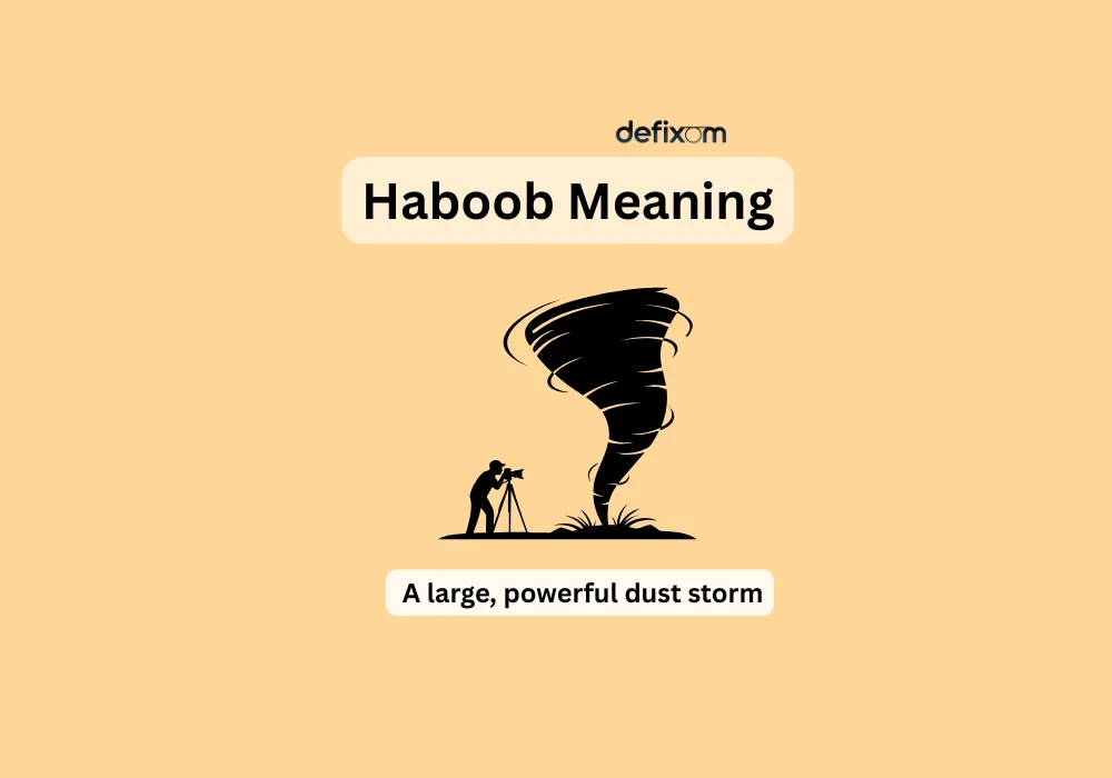 haboob meaning