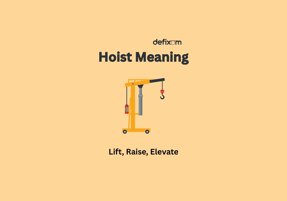 hoist meaning