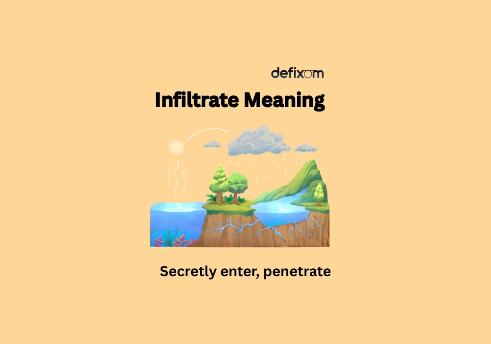 infiltrate meaning