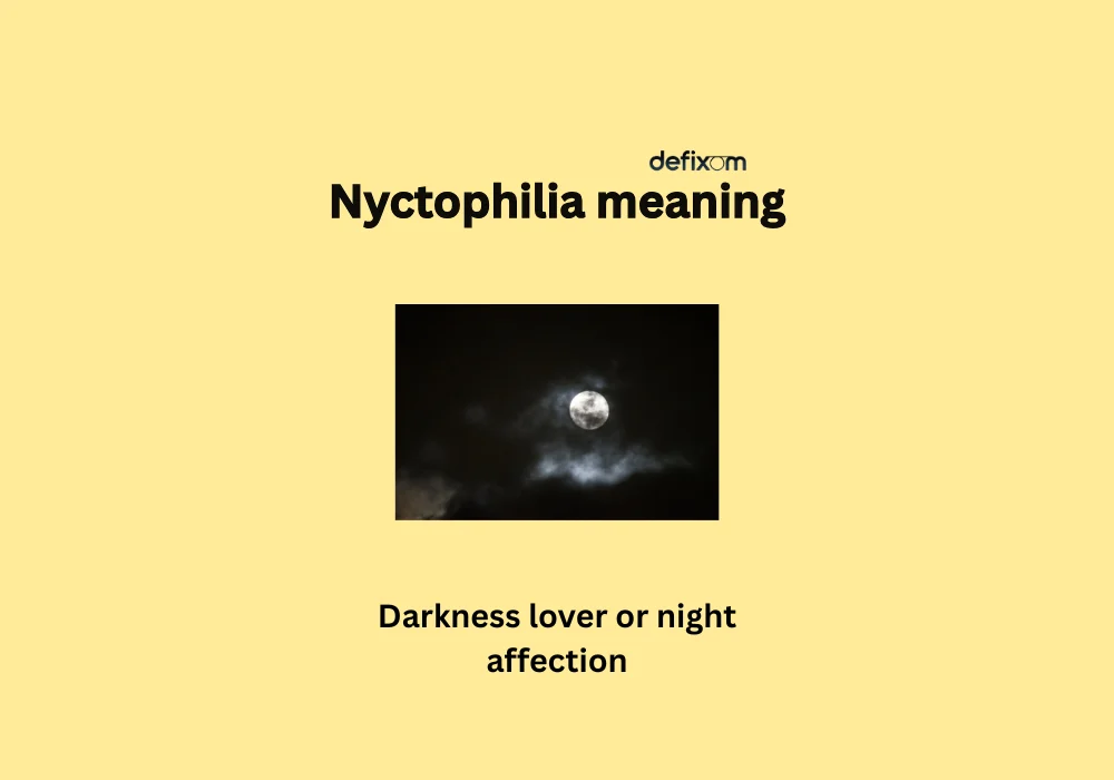 nyctophilia meaning