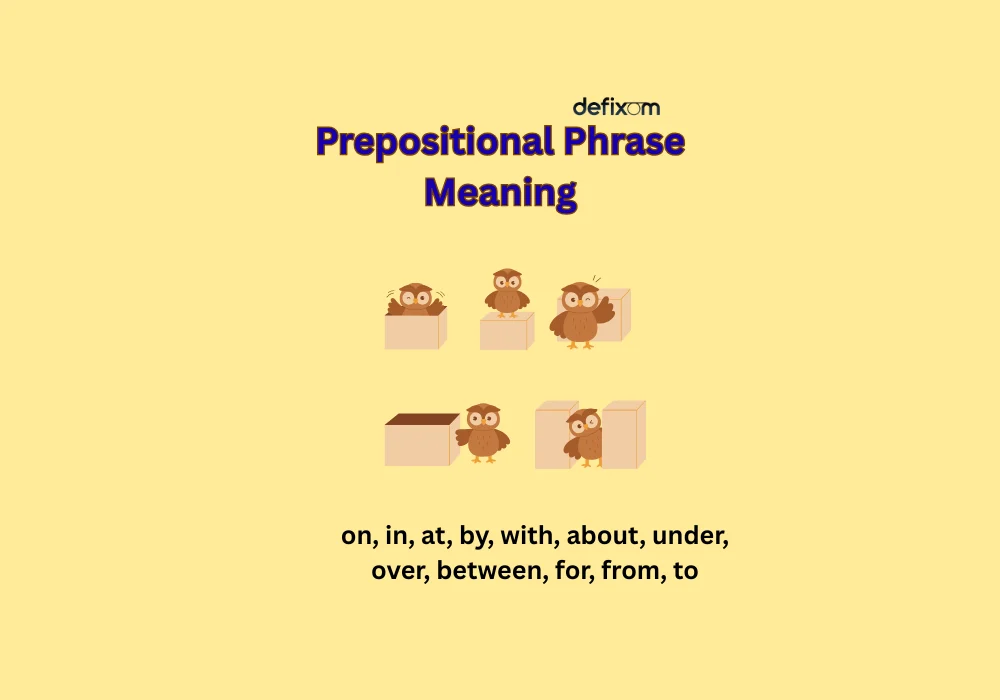 prepositional phrase meaning
