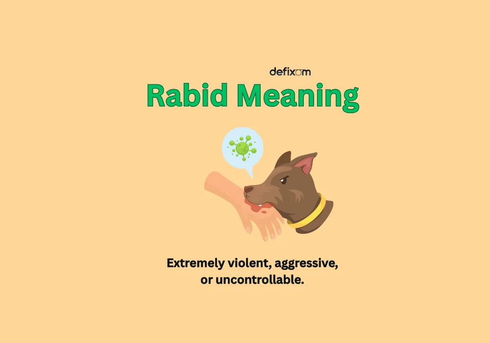 rabid meaning