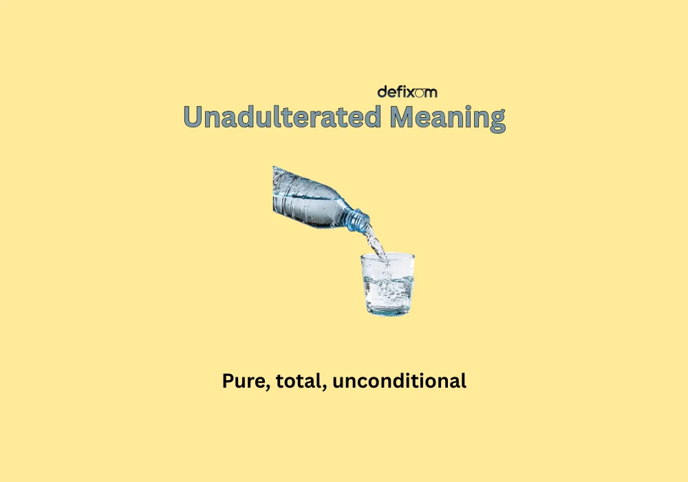 unadulterated meaning