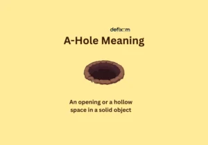 a-hole meaning