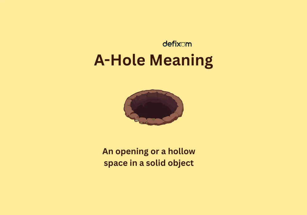 a-hole meaning