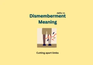 dismemberment meaning