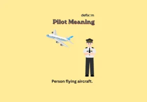 pilot meaning