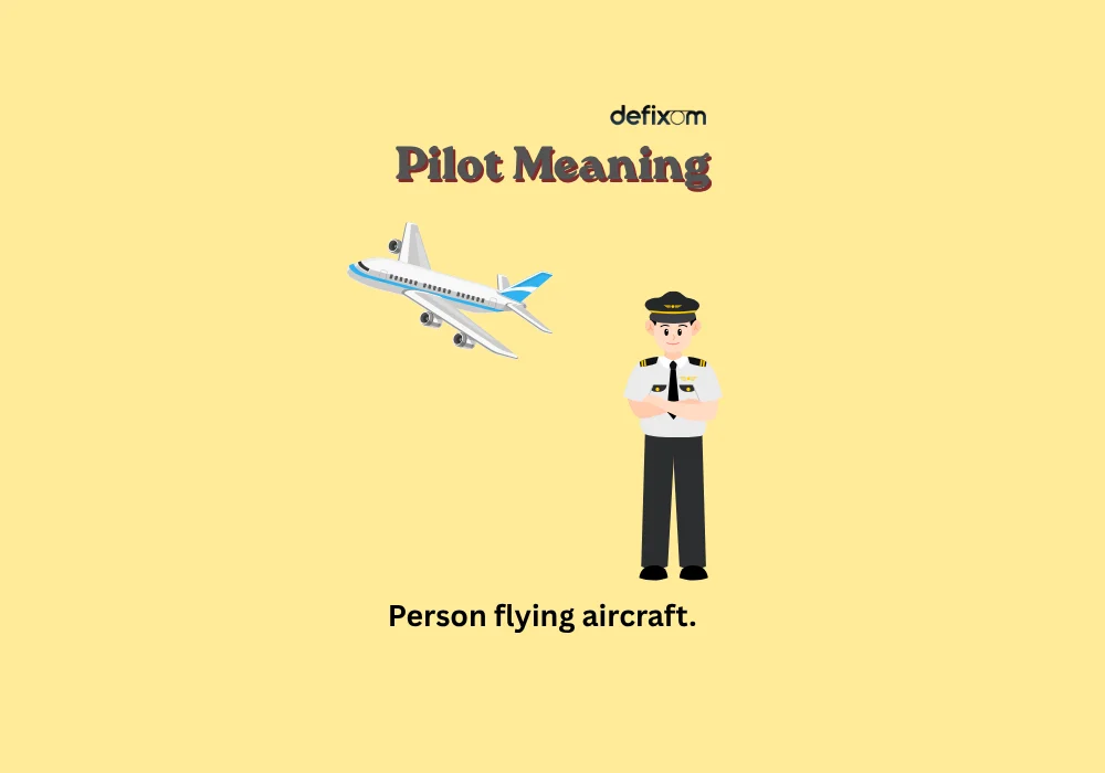 pilot meaning