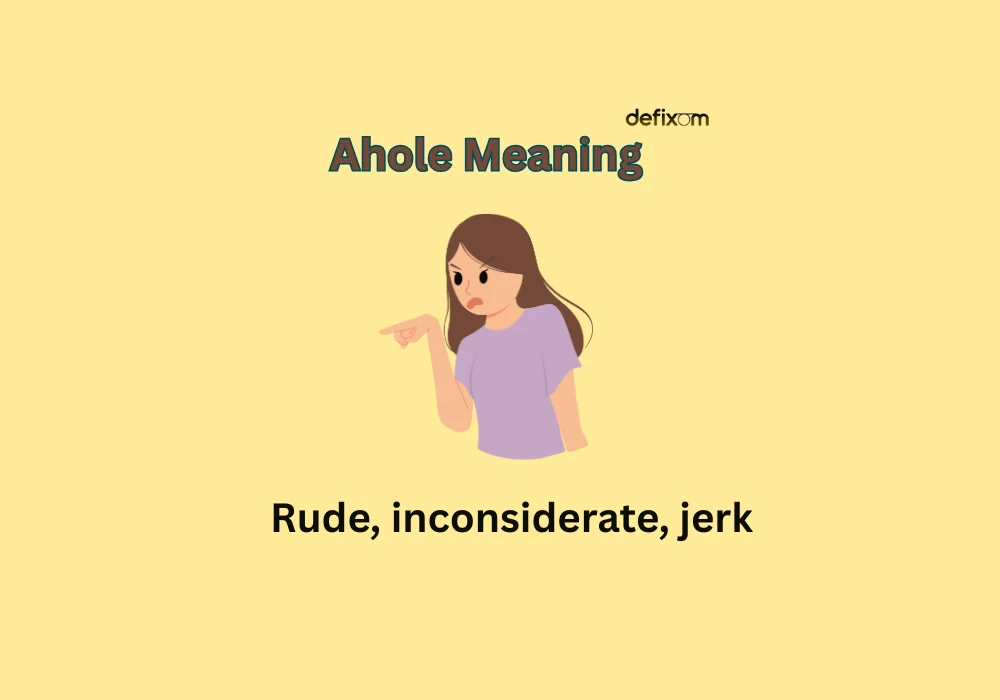 ahole meaning