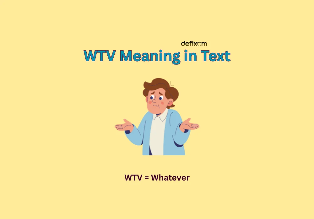 wtv meaning in text