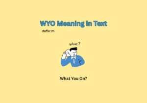 wyo meaning in text
