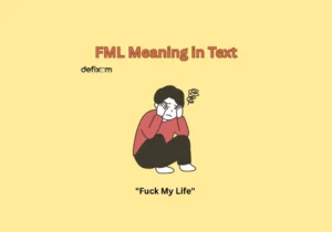 fml meaning in text