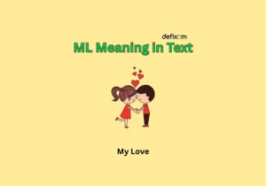 ml meaning in text