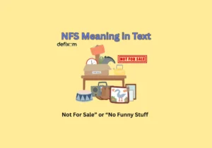 nfs meaning in text