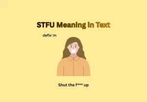 stfu meaning in text