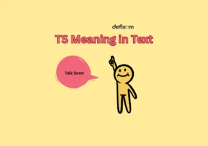 ts meaning in text