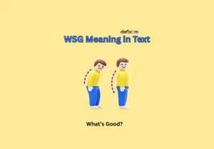 wsg meaning in text