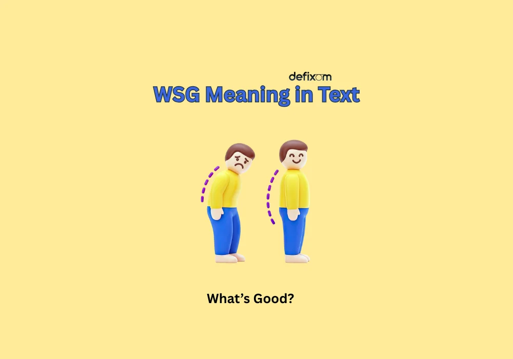 wsg meaning in text